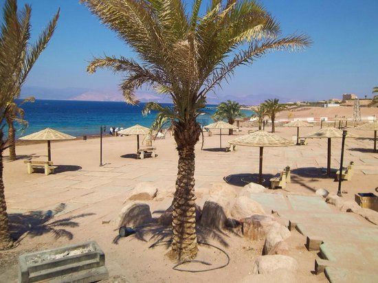 Parc marin d'Aqaba